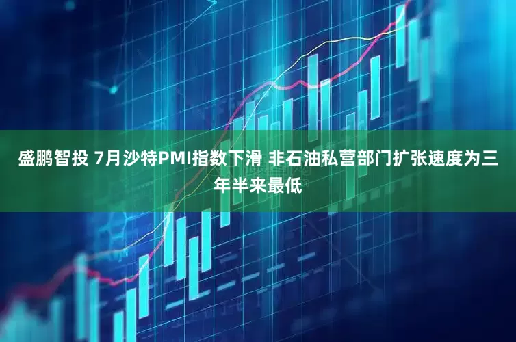 盛鹏智投 7月沙特PMI指数下滑 非石油私营部门扩张速度为三年半来最低